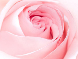 石河子無痛人流醫(yī)院